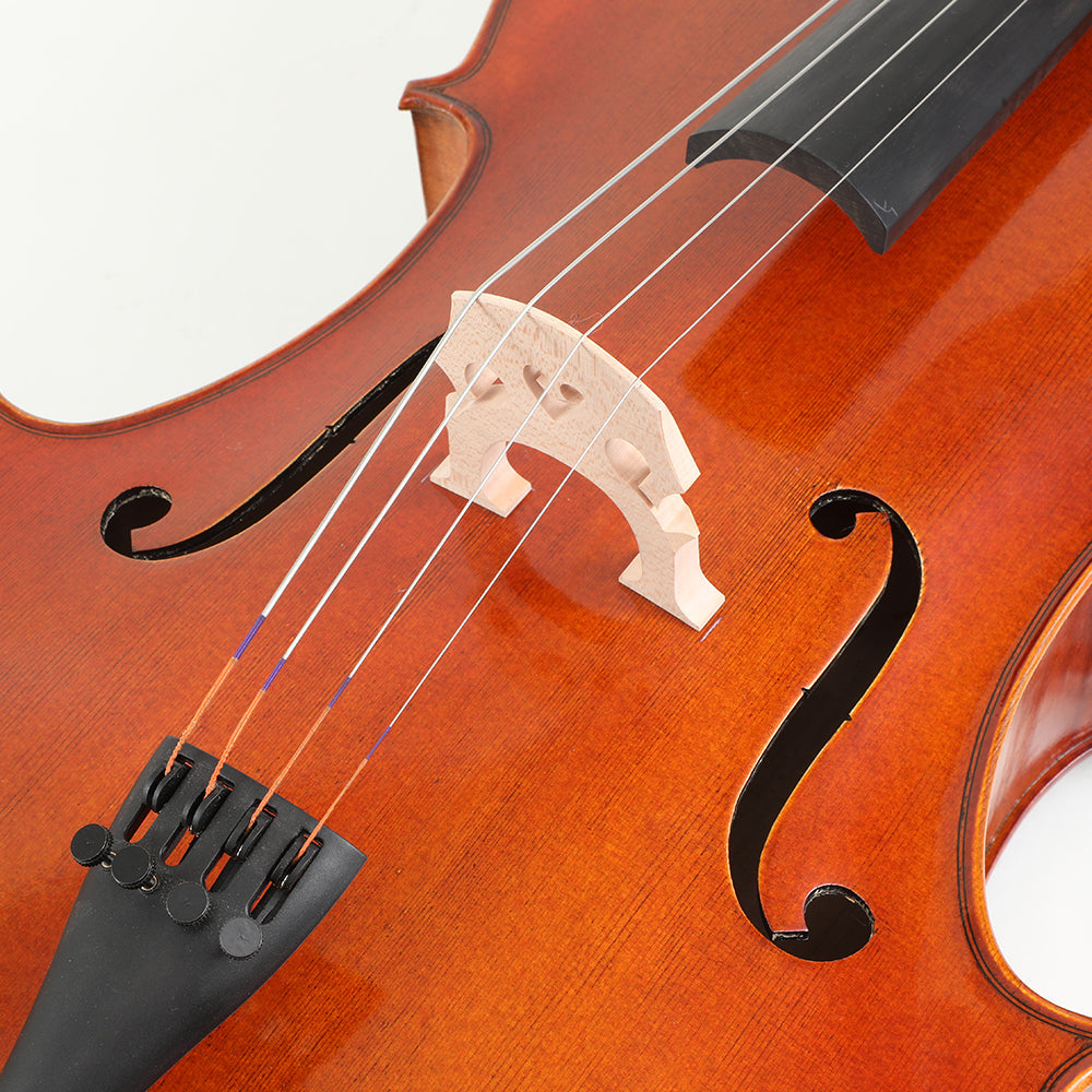 Beginner Violin Guide: How to Start Your Musical Journey with Viotune